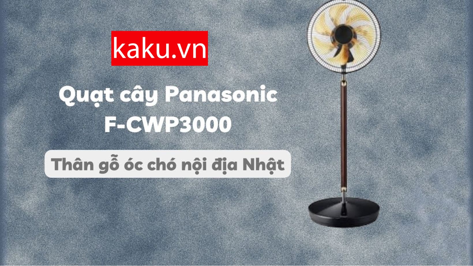 Quạt điện PANASONIC RINTO F-CWP3000 thực sự có quá đắt.